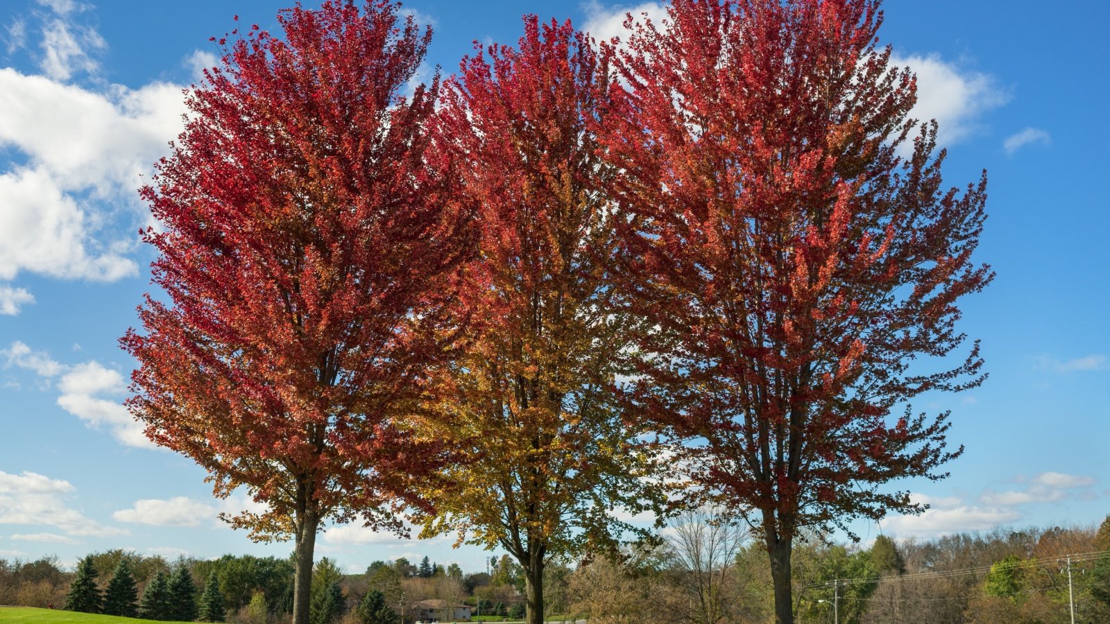 Hobart Wisconsin