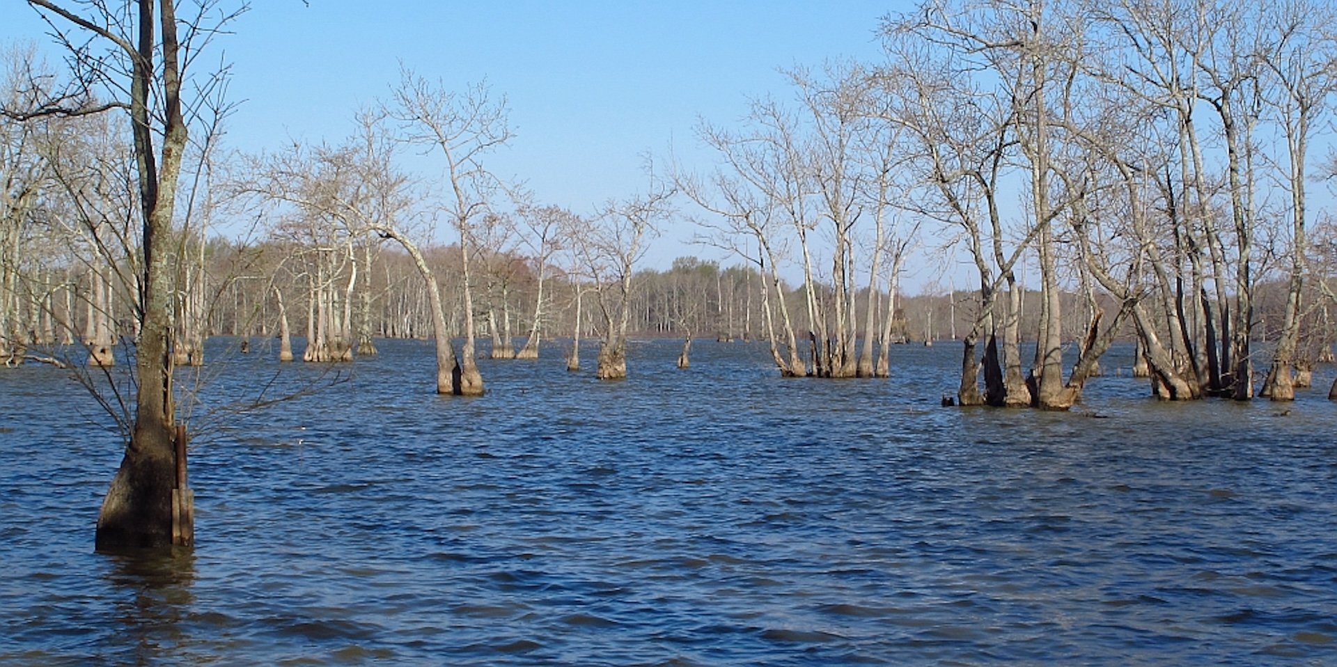 10 Secluded Towns Keeping It Real on the Flyway in Western Mississippi