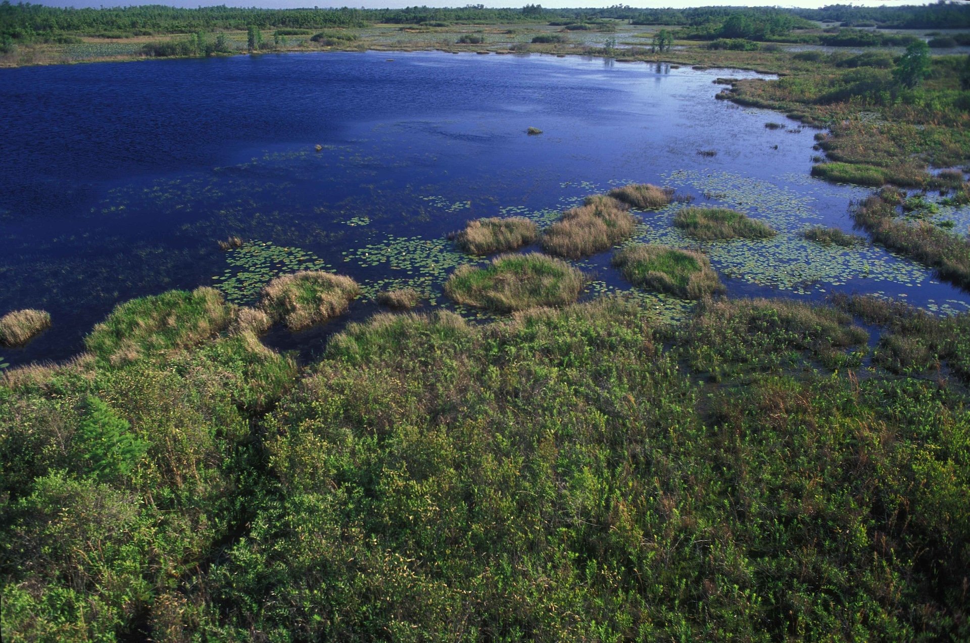10 Secluded Towns Where the Wild Still Wins in Southern Georgia