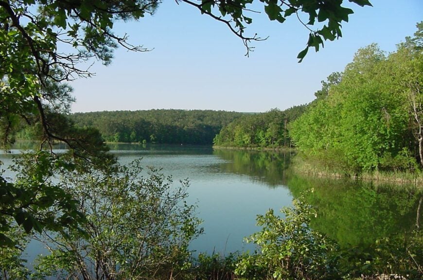 The current image has no alternative text. The file name is: Ouachita_National_Forest.jpg