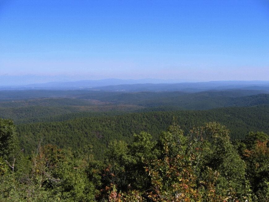 The current image has no alternative text. The file name is: Ouachitanationalforestpicture.jpg