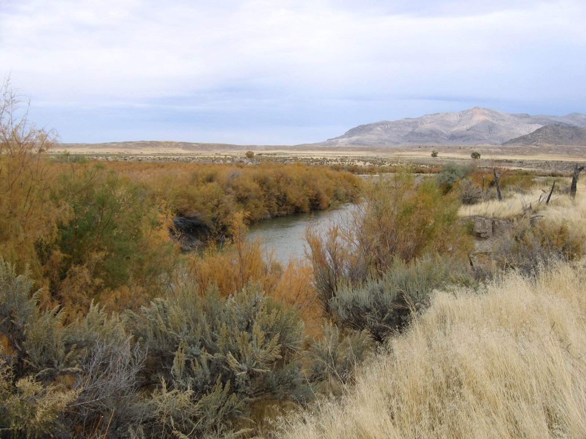 17 Small Towns in Utah's Sevier Valley Where Turkey Farming Rules the Roost