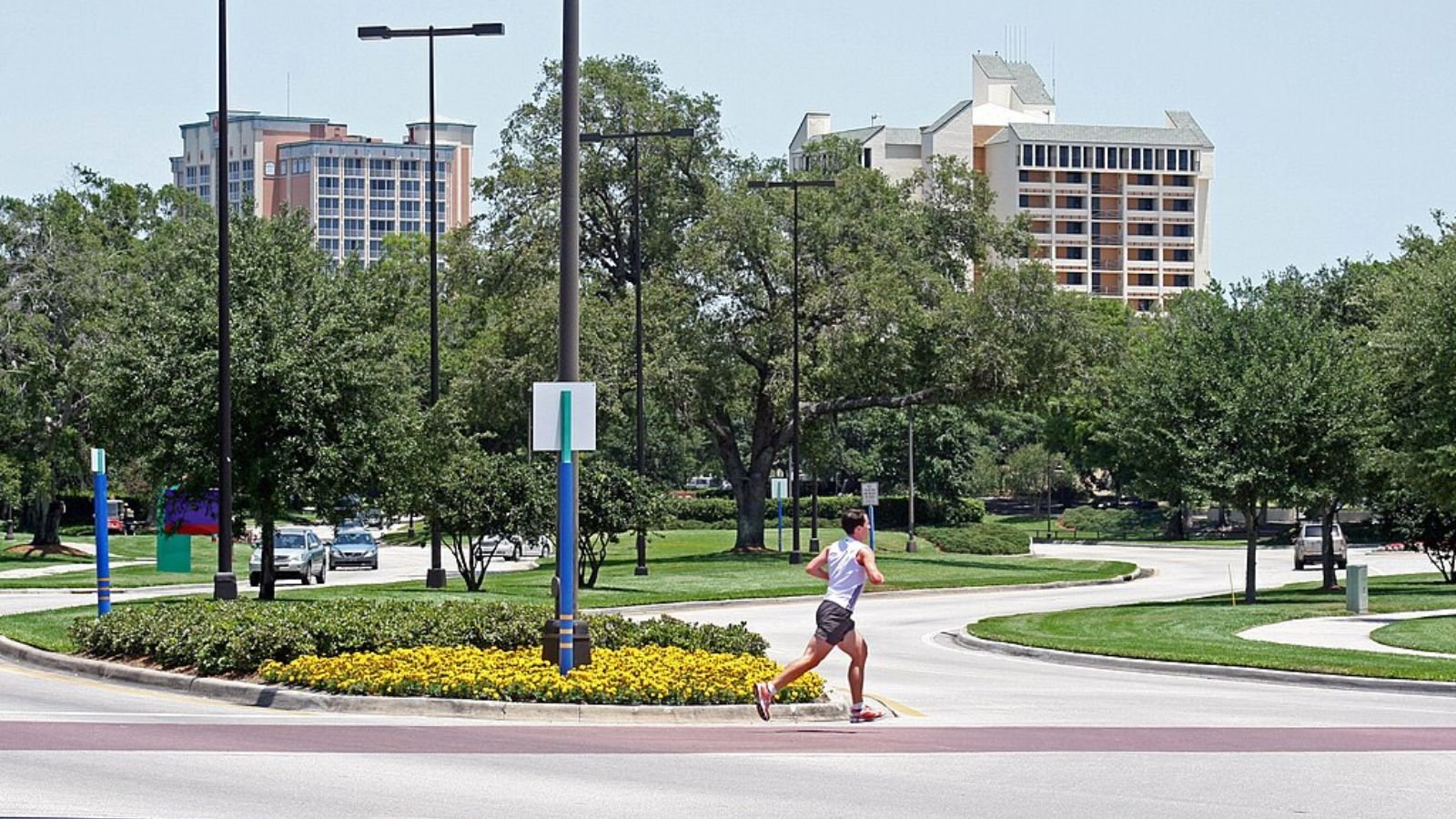 Lake Buena Vista Town Image