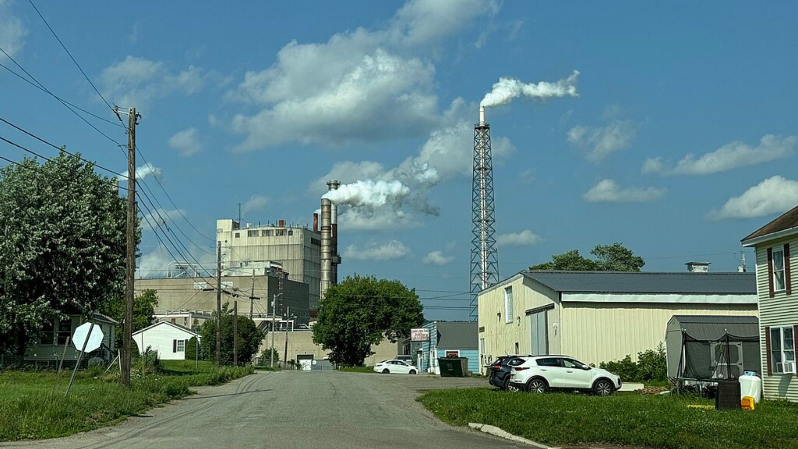 Woodland Town Image