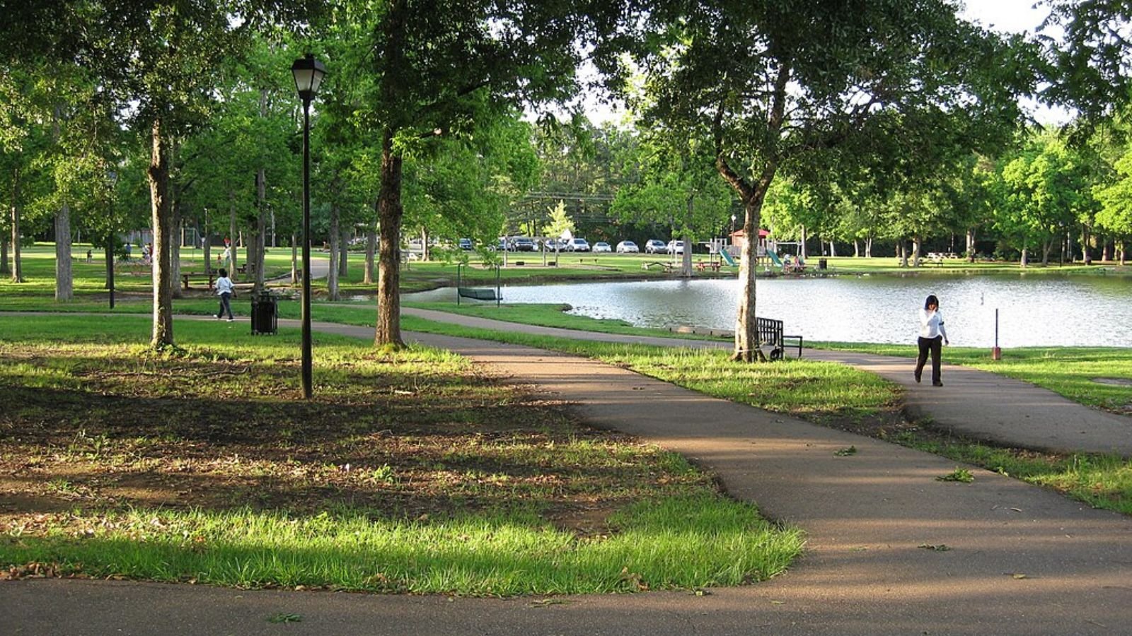 Madison Town Image