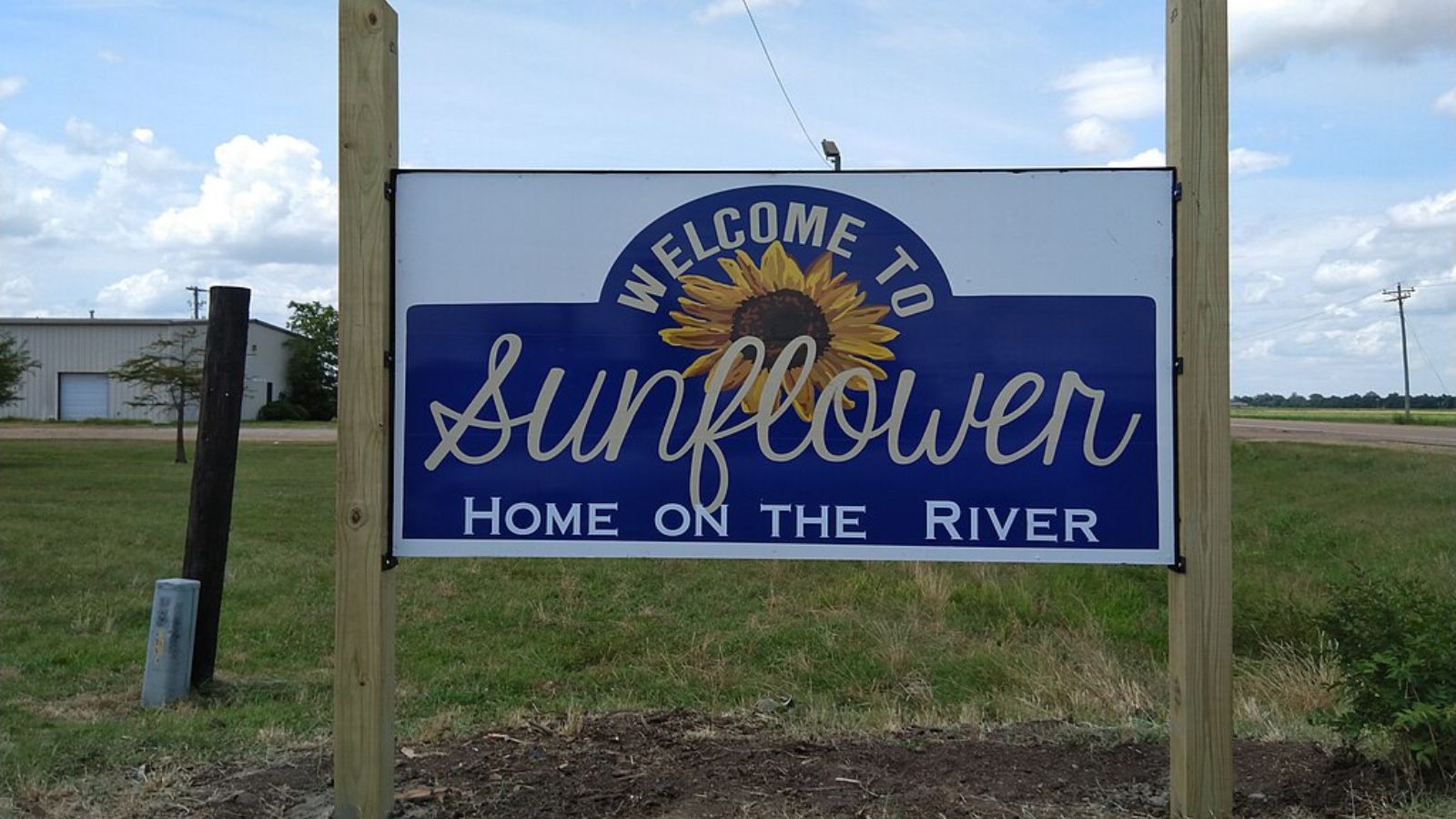 Sunflower Town Image
