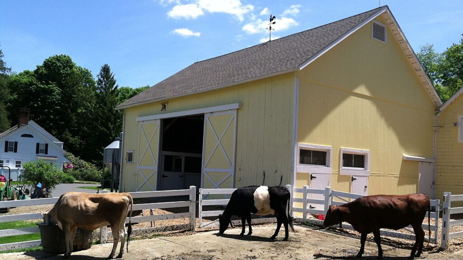 Redding Town Image