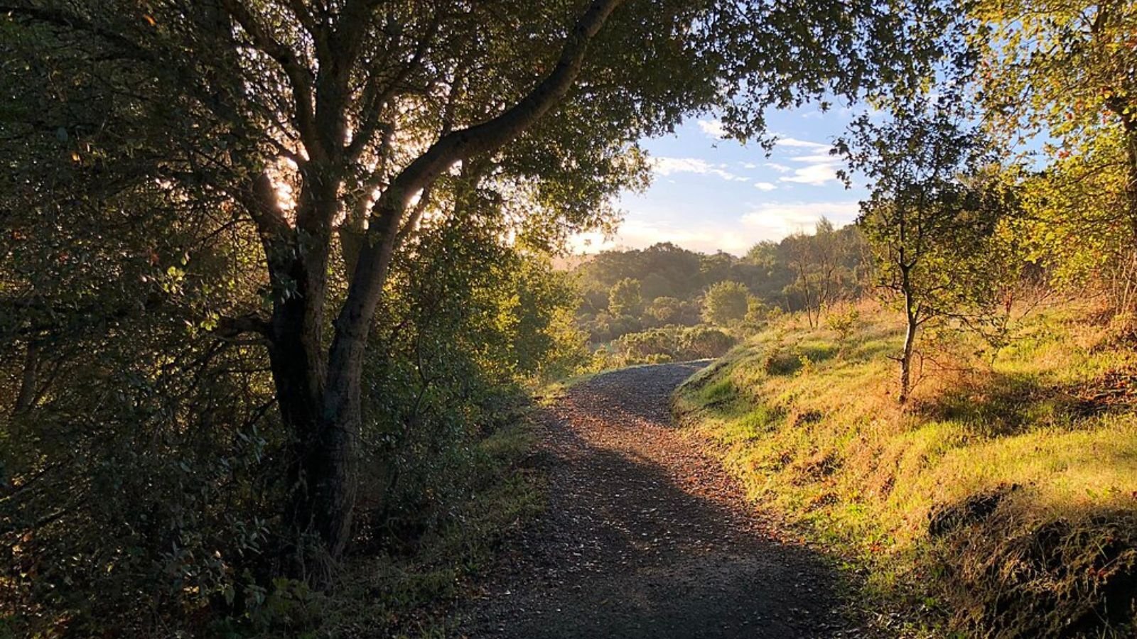 Portola Valley Town Image