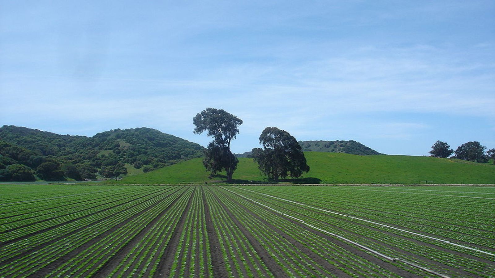 Greenfield Town Image
