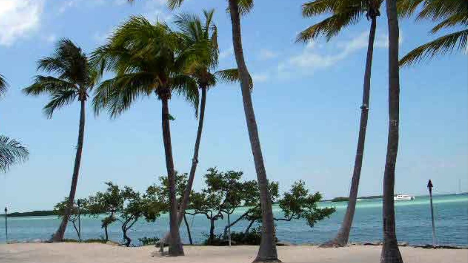 Islamorada Town Image