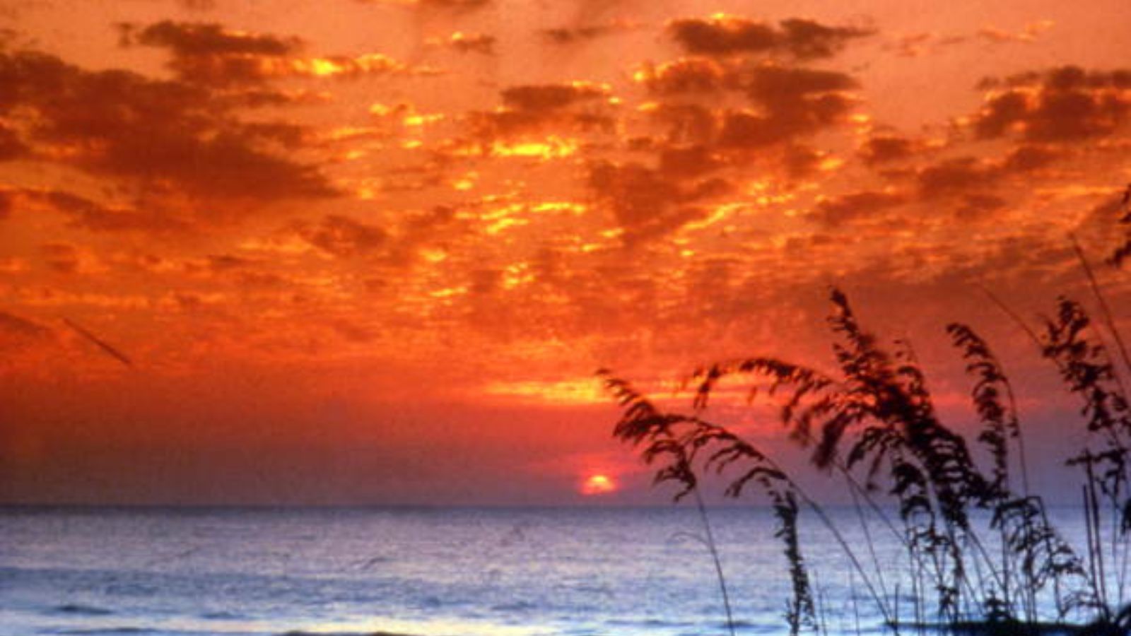 Bradenton Beach Town Image