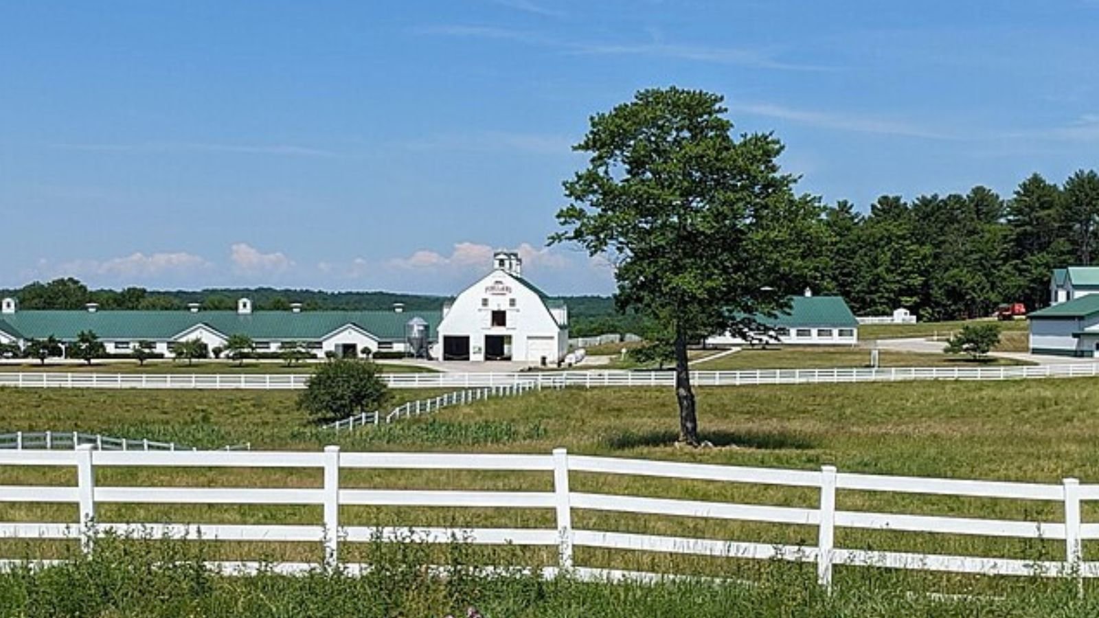 New Gloucester Town Image