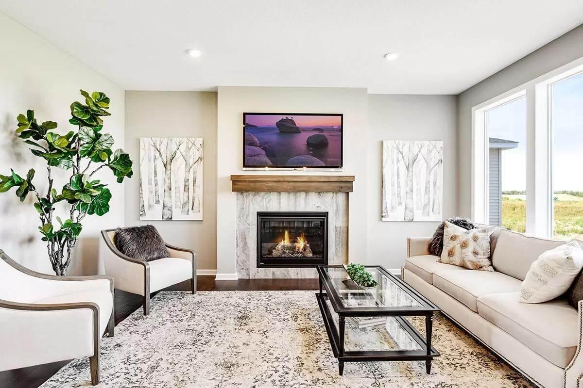 Cozy Living Room with a Stylish Fireplace and Nature-Inspired Accents