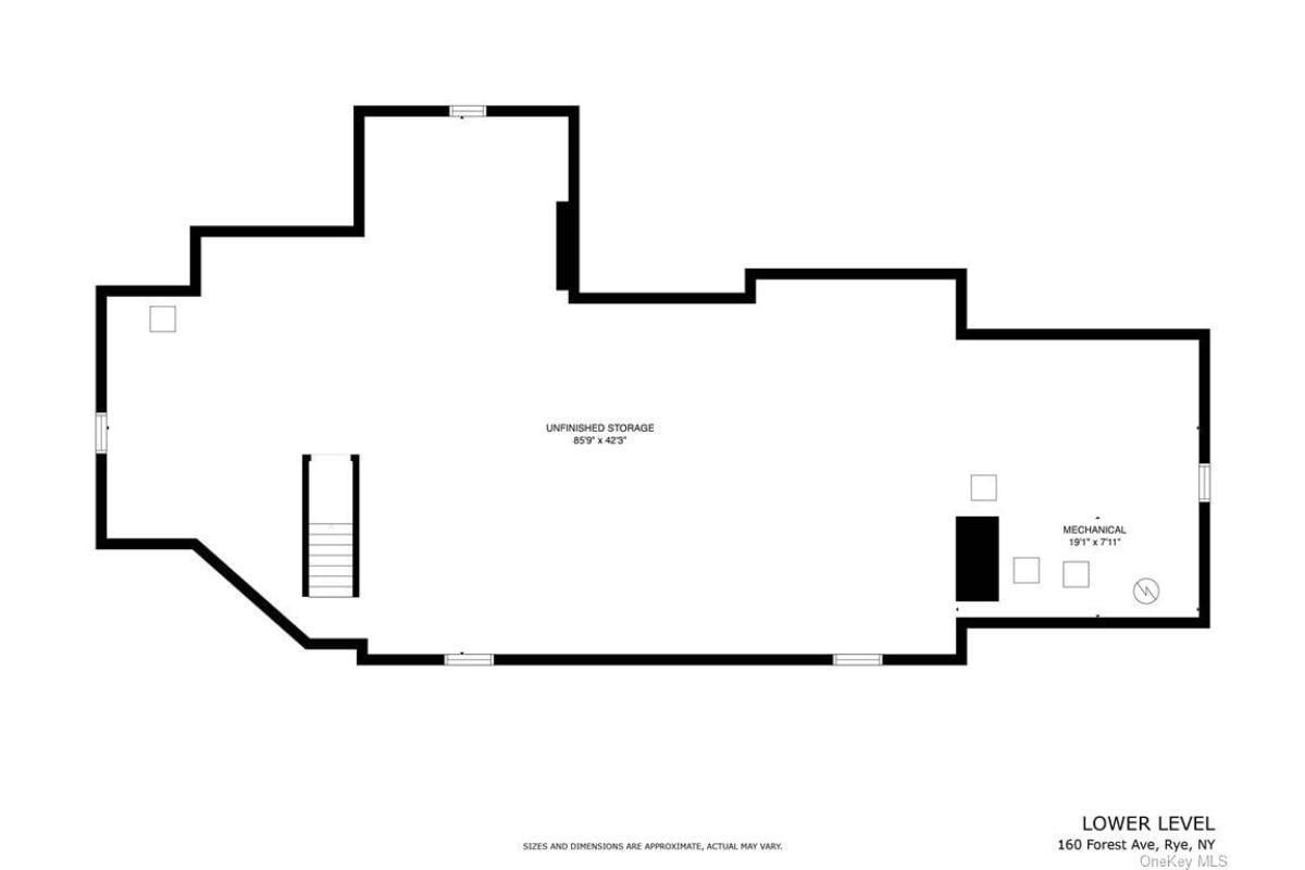 Explore the Basement