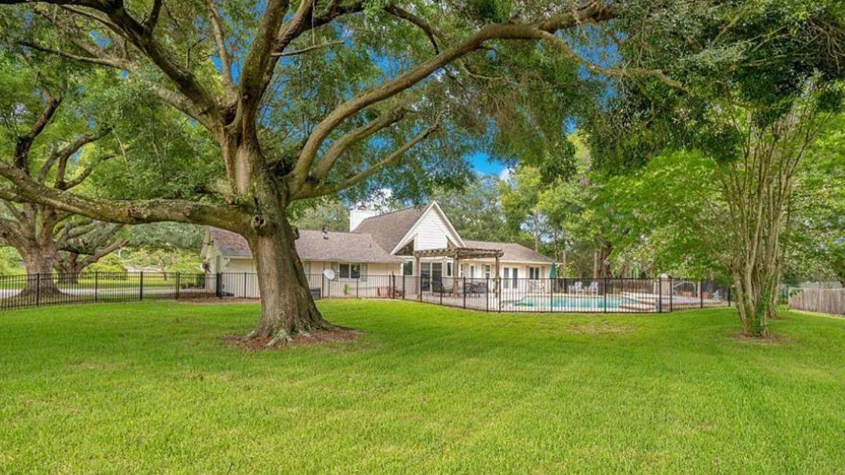 Check Out the Spacious Backyard Pool Under Majestic Oaks