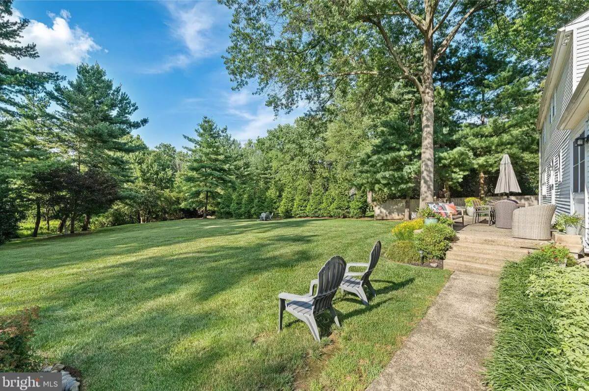 Backyard