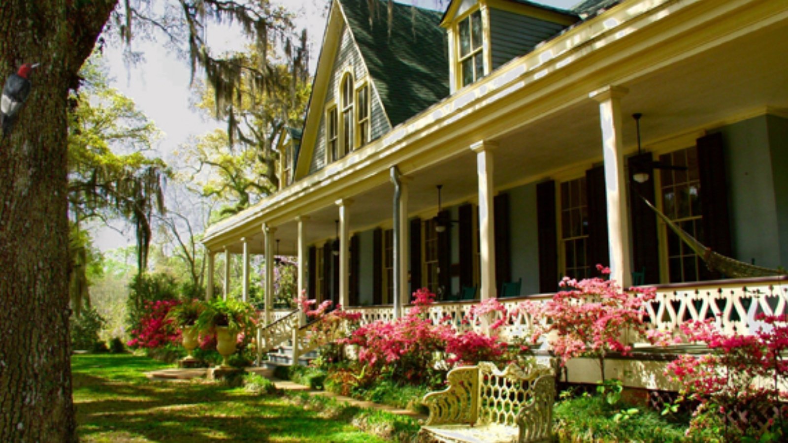 Saint Francisville LA Town Image