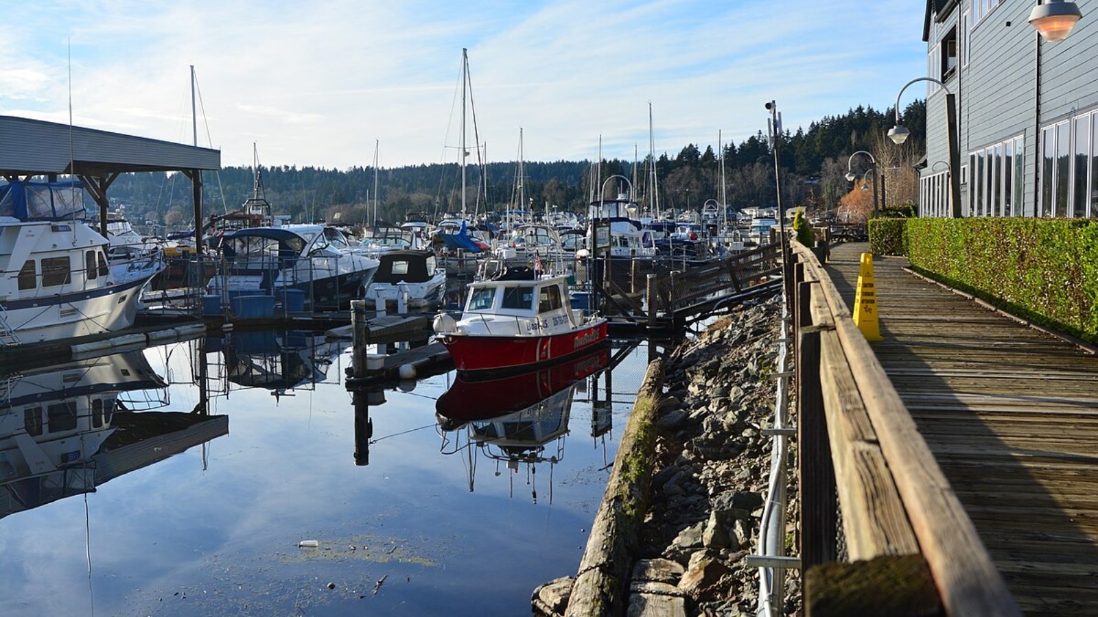 Kenmore WA Town Image