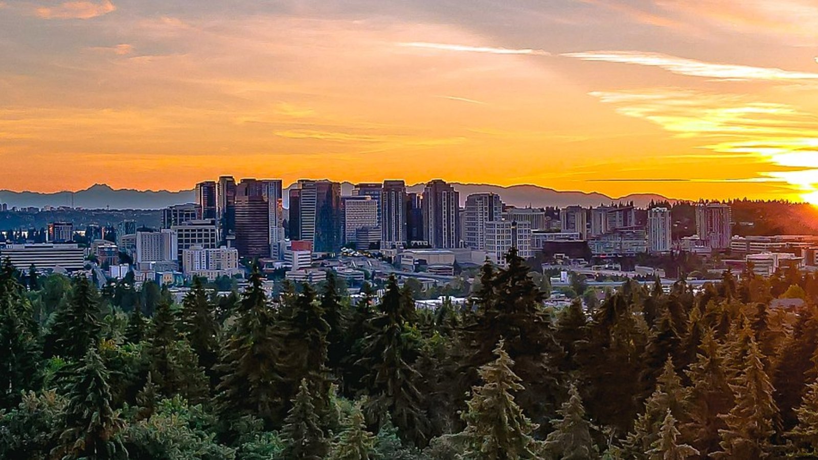 Bellevue WA Town Image