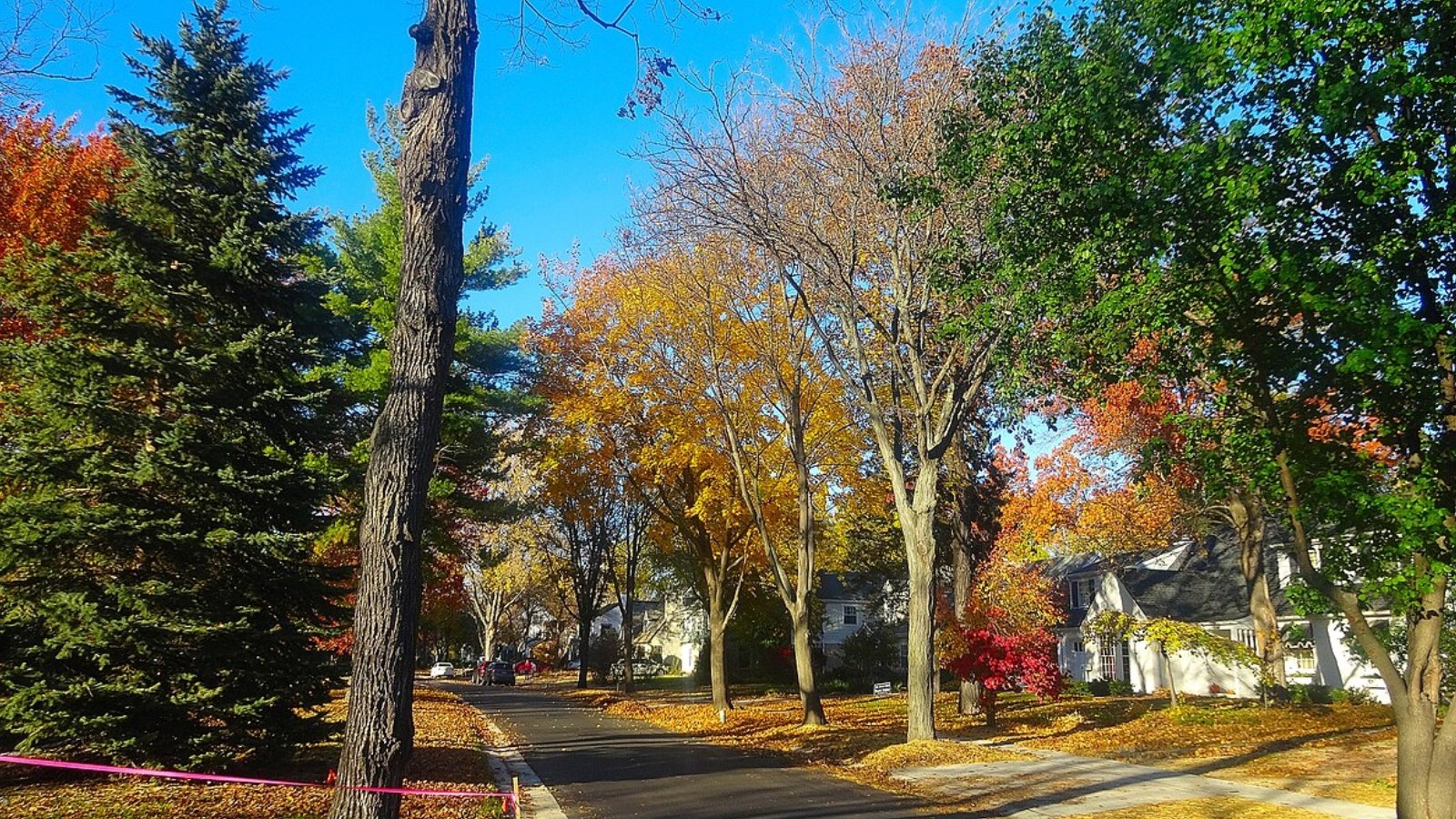 Maple Bluff WI Town Image