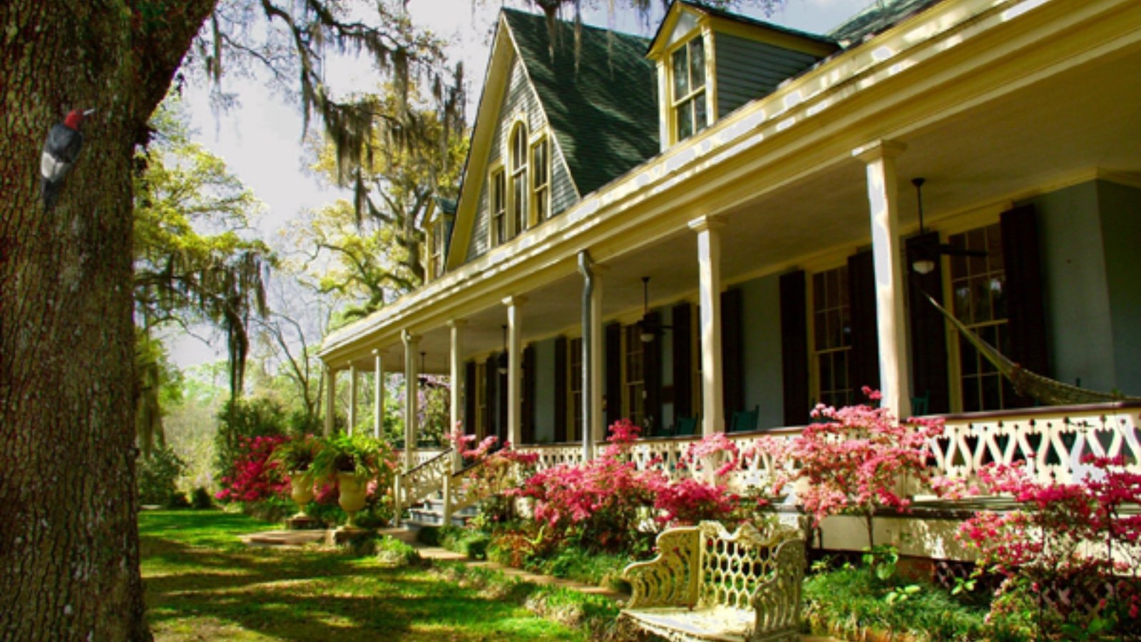 Saint Francisville LA Town Image