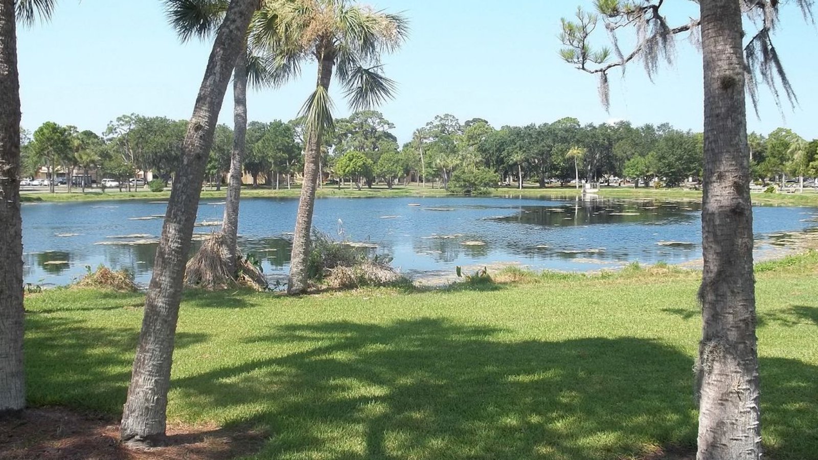 Bay Pines FL Town Image