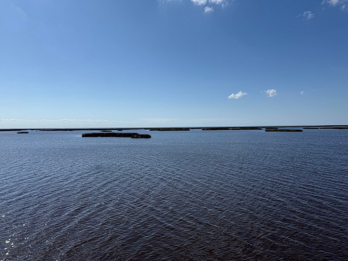 25 Secluded Lakeside Towns Make Their Own Space in Southern Florida