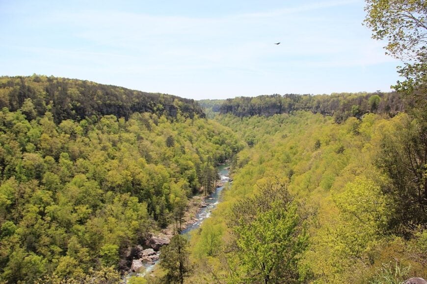 The current image has no alternative text. The file name is: Little_River_Canyon_from_Wolf_Creek_Overlook.jpg