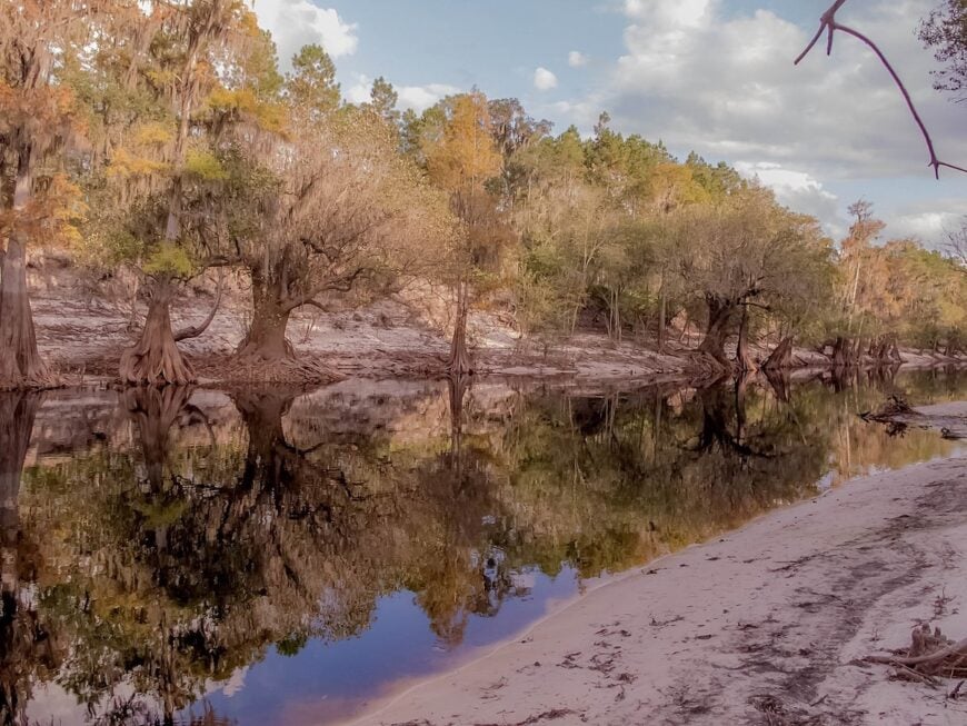 The current image has no alternative text. The file name is: Suwannee.jpg
