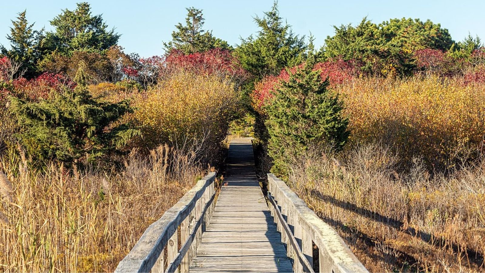 Quogue Town Image