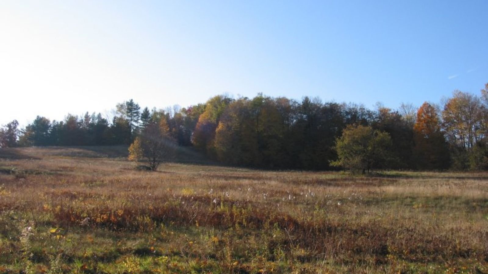 Plainfield Town Image