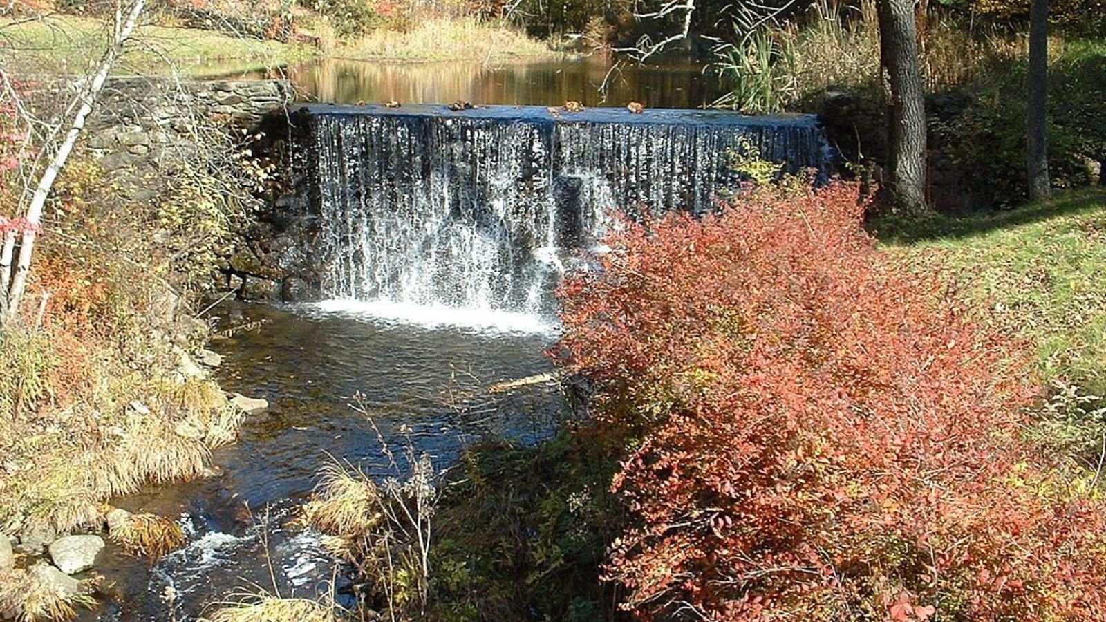 Heath Town Image