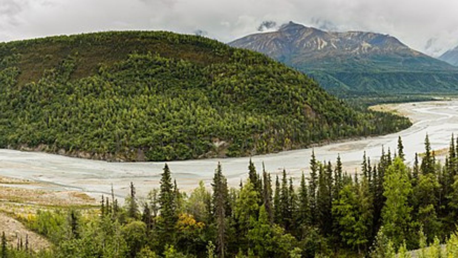 Palmer Town Image