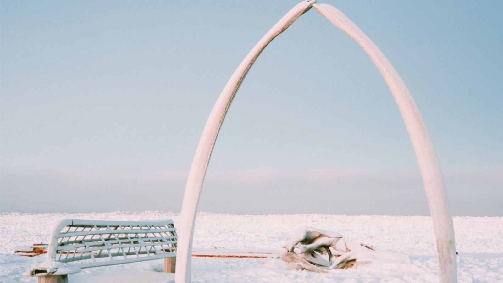 Utqiagvik Town Image
