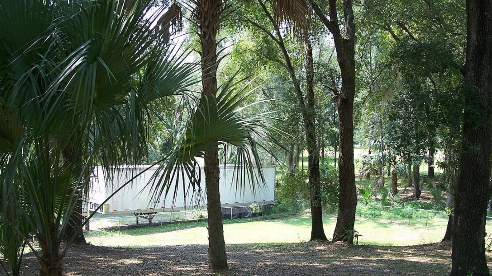 Welaka Town Image