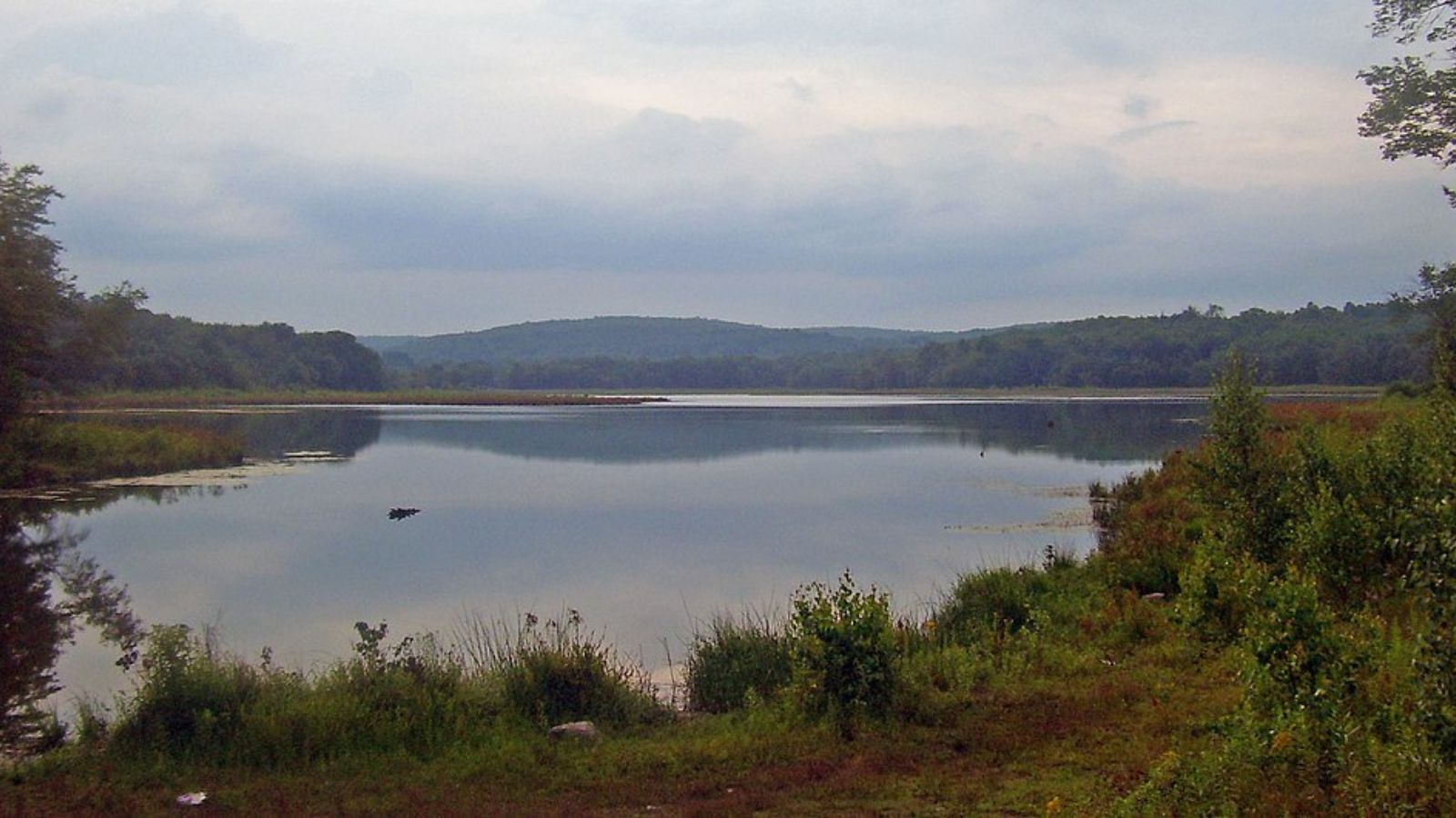 Woodridge Town Image