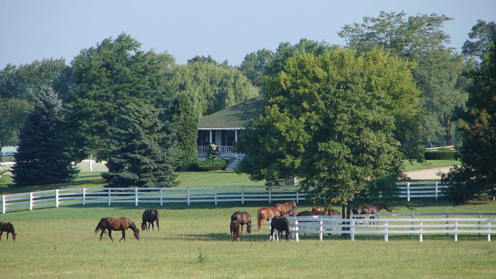 Barrington Hills Town Image