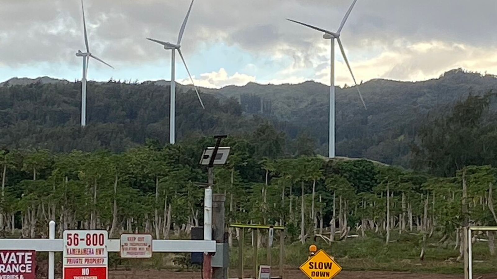 Kahuku Town Image