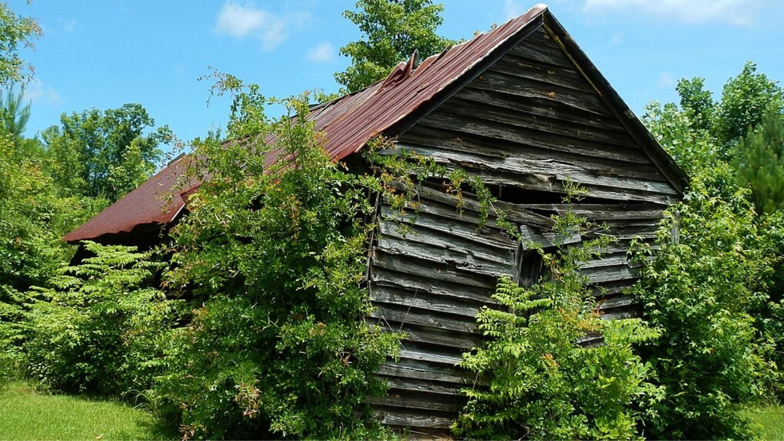 Pine Mountain Valley Town Image