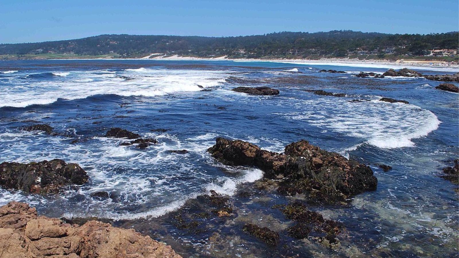 Del Monte Forest Town Image