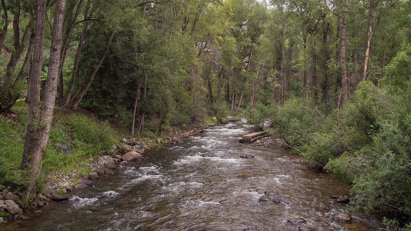 Aspen Town Image