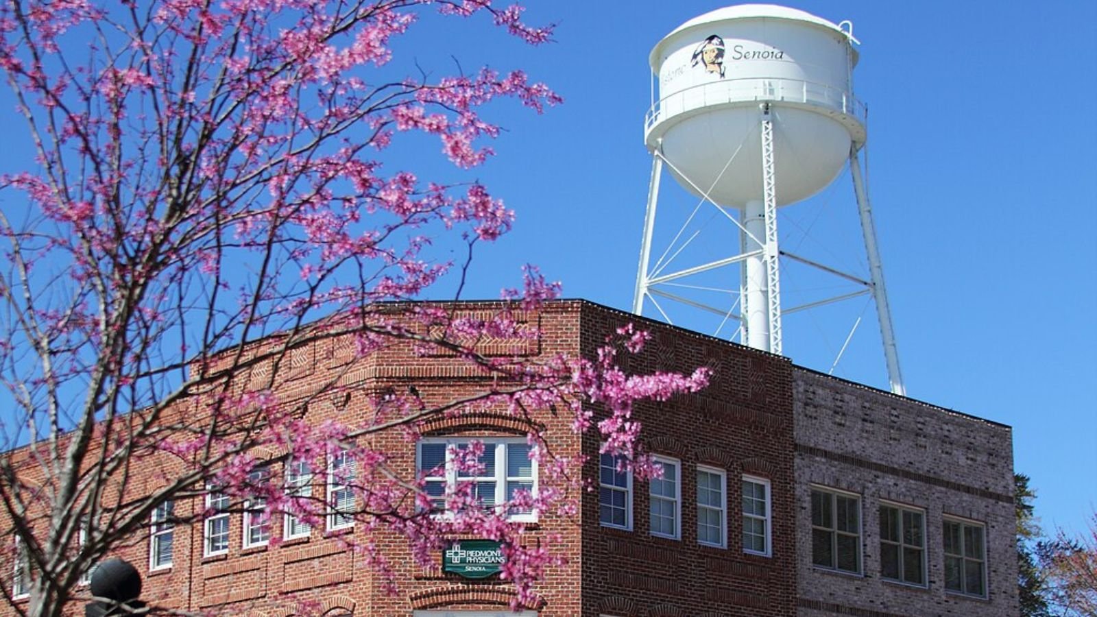 Senoia Town Image