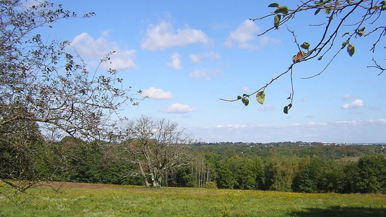 Milton Town Image