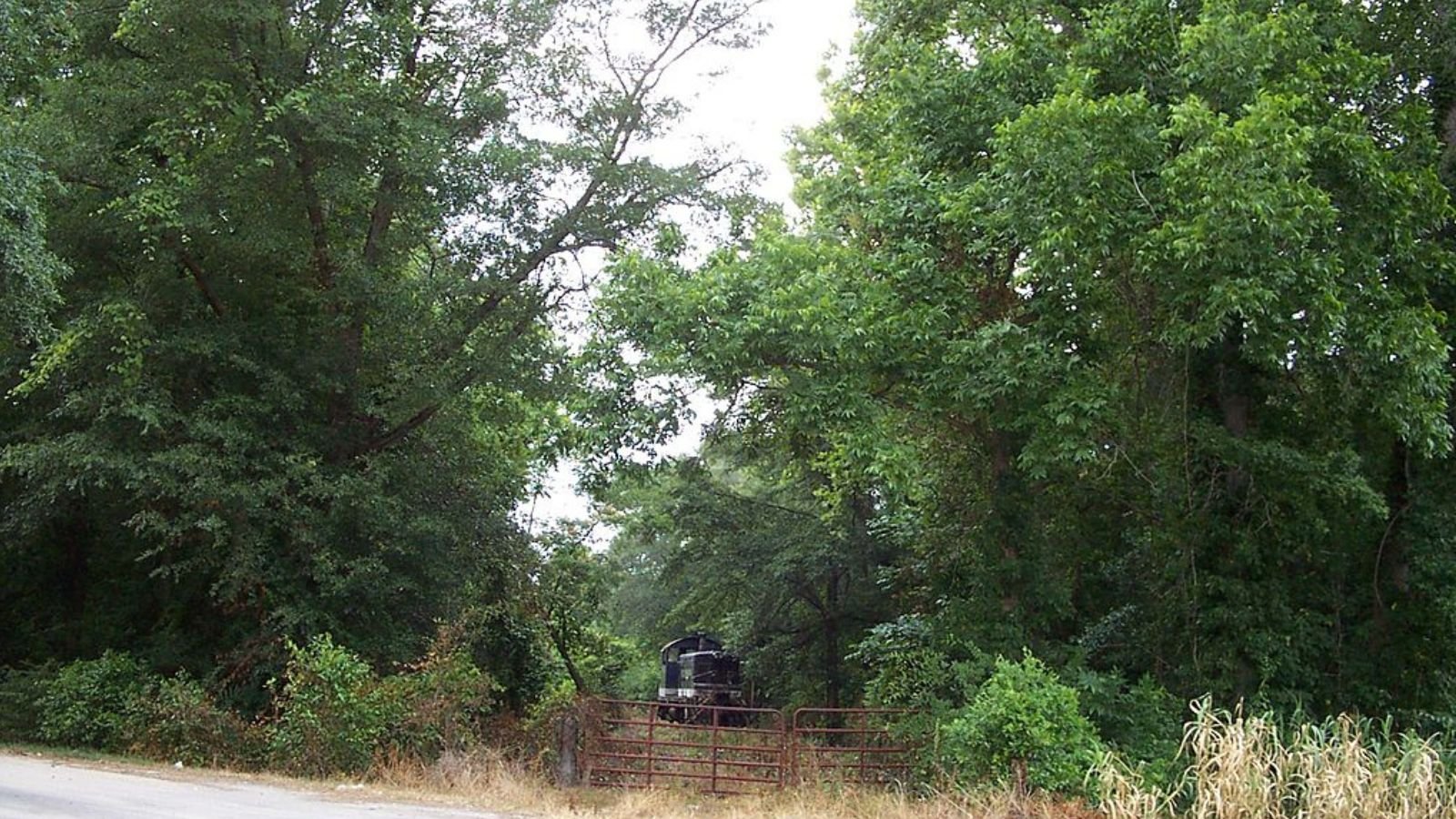 Wadley Town Image
