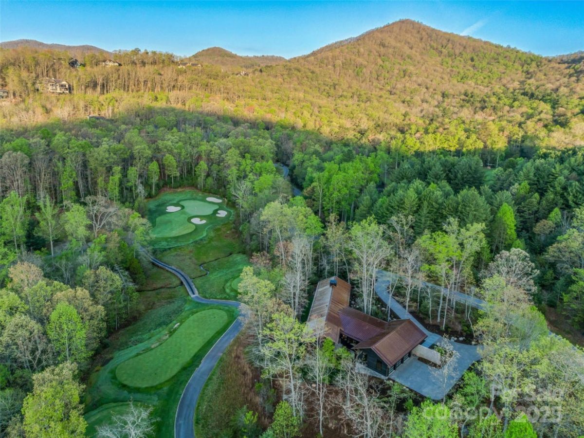 5,896 Sq. Ft. Mansion in Arden, NC ($7,795,000)