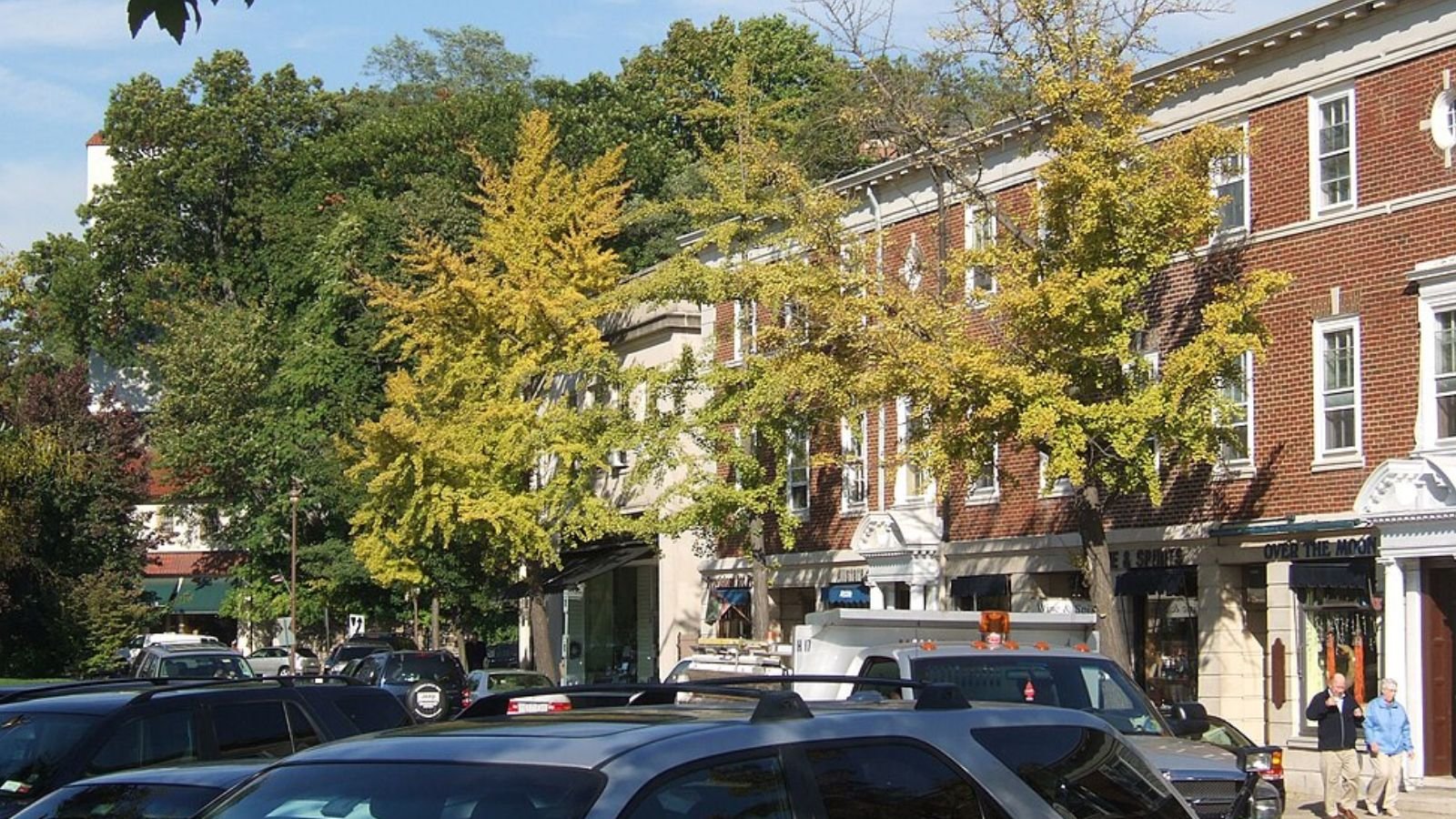 Bronxville Town Image