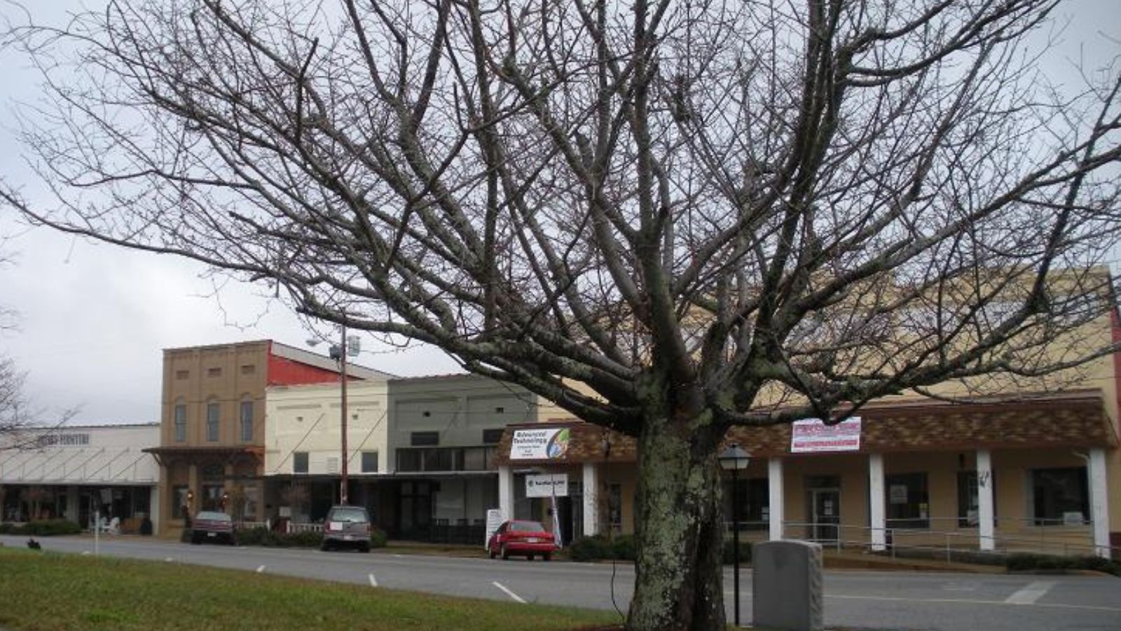 Dadeville Town Image