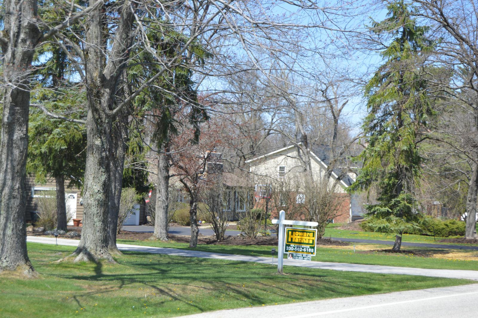 Orange Town Image