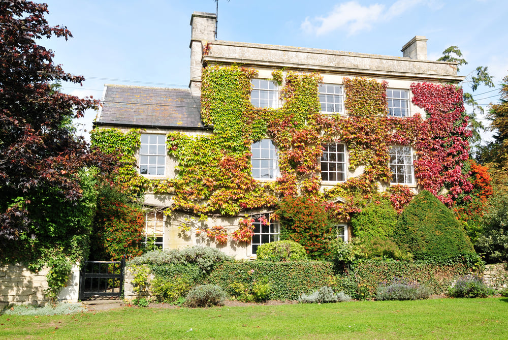 blog Image