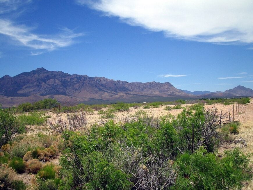 The current image has no alternative text. The file name is: Chiricahua_mtns-kmf.jpg